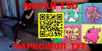 ECSTASY Камышлов