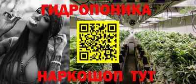 прущая мука Канаш