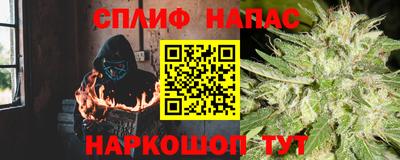 ECSTASY Камышлов