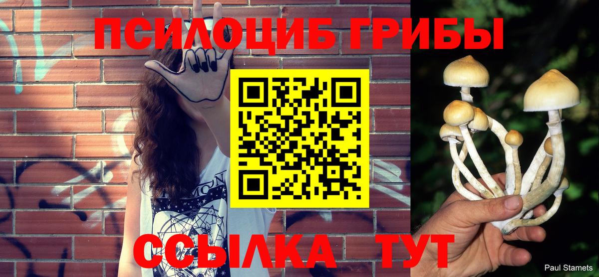 Галлюциногенные грибы ЛСД  Галлюциногенные грибы мицелий  Фрязино  Вход с VPN 